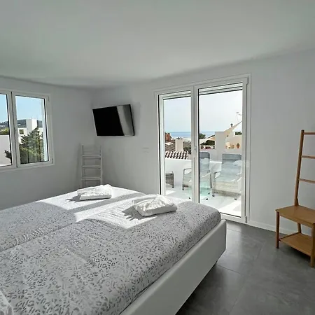 Casa Palm Tree