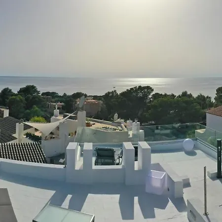 Casa Palm Tree 빌라