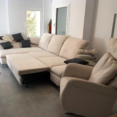 Casa Palm Tree