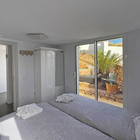 Casa Palm Tree