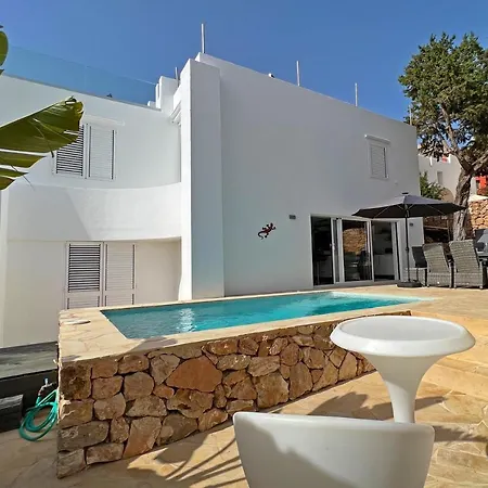Casa Palm Tree *
